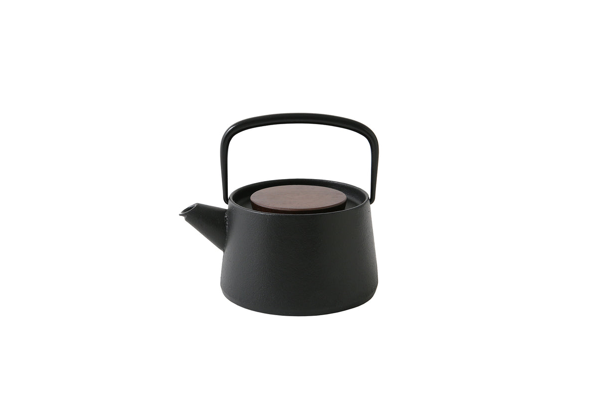 小さい鉄瓶　古いでさす tb216上田写 宝袋形鉄瓶 福鼠蓋 約1.2L 【日本製・証明