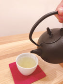 VitaCraft南部鉄 急須 華(はる)